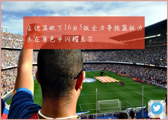 古德温砍下16分5板全力争抢篮板力求在角色中闪耀光芒